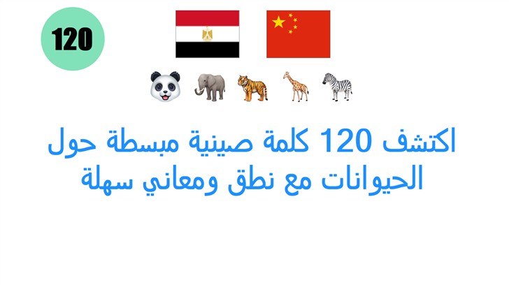 اكتشف 120 كلمة صينية مبسطة حول الحيوانات مع نطق ومعاني سهلة